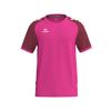 Afbeelding van ERIMA WINGS Jersey Shortsleeve Kinderen | pink glo/bordeaux | 3132609