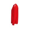 Afbeelding van ERIMA CMPT Wings Sweatshirt Kinderen | rood | 2072619