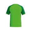 Afbeelding van ERIMA WINGS Jersey Shortsleeve Kinderen | green gecko/smaragd | 3132606