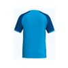 Afbeelding van ERIMA WINGS Jersey Shortsleeve Kinderen | curaçao/new royal | 3132605