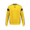 Afbeelding van ERIMA CMPT Wings Sweatshirt GK Kinderen | geel/zwart | 6072503