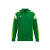 Afbeelding van Erima Celebrate 125 trainingsjack met capuchon heren, 1032531, smaragd/green gecko