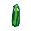 Afbeelding van ERIMA CELEBRATE 125 Training Jacket Kinderen | smaragd/green gecko | 1032593