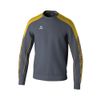 Afbeelding van ERIMA EVO STAR sweatshirt Kinderen | slate grey/geel | 1072416