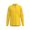 Afbeelding van ERIMA INTRO Training top Unisex | geel | 1262608