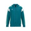 Afbeelding van ERIMA CELEBRATE 125 Training Jacket with hood Unisex | tahitian blue/mint | 1032631