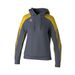 ERIMA EVO STAR sweatshirt met capuchon Dames | slate grey/geel | 1072427