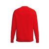 Afbeelding van ERIMA CMPT Wings Sweatshirt Kinderen | rood | 2072619