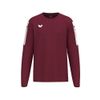 Afbeelding van ERIMA INTRO Sweatshirt Unisex | bordeaux | 1072607