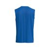 Afbeelding van ERIMA INTRO Tank Top function | new royal | 2082619