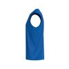 Afbeelding van ERIMA INTRO Tank Top function | new royal | 2082619