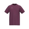 Afbeelding van ERIMA CMPT Wings T-Shirt | burgundy/lavender | 2082689