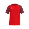 Afbeelding van ERIMA WINGS Jersey Shortsleeve Kinderen | rood/bordeaux | 3132601