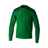 Afbeelding van ERIMA EVO STAR sweatshirt Kinderen | smaragd/pine grove | 1072414