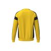 Afbeelding van Erima CMPT 3 Wings sweatshirt GK kinderen, 6072503, geel/zwart