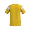 Afbeelding van ERIMA CELEBRATE 125 T-Shirt function Unisex | geel/zwart | 1082527