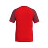 Afbeelding van ERIMA WINGS Jersey Shortsleeve Unisex | rood/bordeaux | 3132601