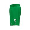 Afbeelding van ERIMA WINGS Shorts without inner slip Unisex | smaragd | 6152603