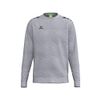 Afbeelding van ERIMA CMPT Wings Sweatshirt Unisex | grey melange | 2072620