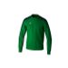 Erima Evo Star sweatshirt kinderen, 1072414, smaragd/pine grove