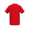 Afbeelding van ERIMA CMPT Wings T-Shirt | rood/wit | 2082549