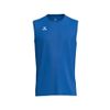 Afbeelding van ERIMA INTRO Tank Top function | new royal | 2082619