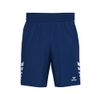 Afbeelding van ERIMA CELEBRATE 125 Shorts Kinderen | new navy | 1152615