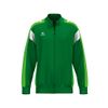 Afbeelding van ERIMA CELEBRATE 125 Training Jacket | smaragd/green gecko | 1032593