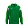 Afbeelding van ERIMA CELEBRATE 125 Training Jacket with hood Kinderen | smaragd/green gecko | 1032531