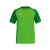 Afbeelding van ERIMA WINGS Jersey Shortsleeve Unisex | green gecko/smaragd | 3132606