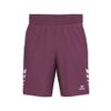 Afbeelding van ERIMA CELEBRATE 125 Shorts Kinderen | burgundy | 1152604