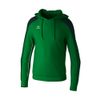 Afbeelding van ERIMA EVO STAR sweatshirt met capuchon Kinderen | smaragd/pine grove | 1072403