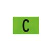 Afbeelding van ERIMA Captain Armband with velcro | green gecko | 7242509