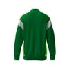 Afbeelding van ERIMA CELEBRATE 125 Training Jacket | smaragd/green gecko | 1032593
