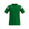 Afbeelding van ERIMA CELEBRATE 125 T-Shirt function Unisex | smaragd/green gecko | 1082503