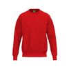 Afbeelding van ERIMA TS Sweatshirt Kinderen | rood | 2072615