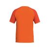 Afbeelding van ERIMA WINGS Jersey Shortsleeve Kinderen | oranje/mandarine | 3132608