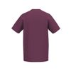 Afbeelding van ERIMA CMPT Wings T-Shirt | burgundy/lavender | 2082689