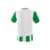 Afbeelding van ERIMA SIENA 3.0 shirt Kinderen | smaragd/wit | 3131820