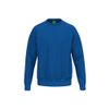 Afbeelding van ERIMA TS Sweatshirt Kinderen | new royal | 2072585