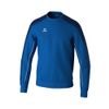 Afbeelding van ERIMA EVO STAR sweatshirt Kinderen | new royal/new navy | 1072413