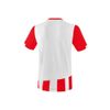 Afbeelding van ERIMA SIENA 3.0 shirt Kinderen | rood/wit | 3131816