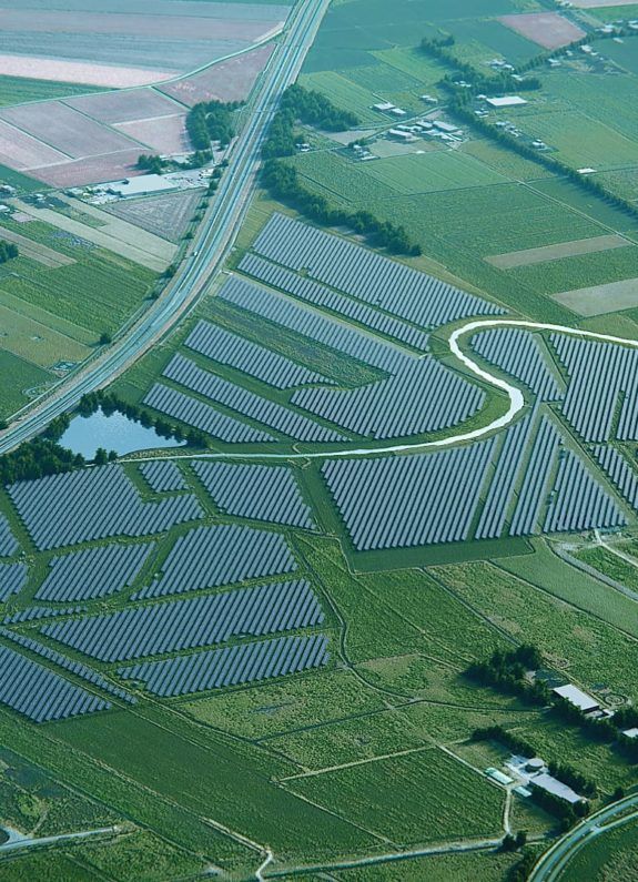 zonneweide Roodehaan