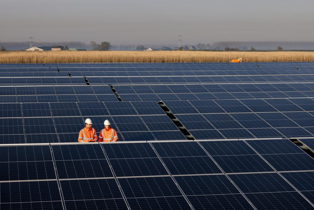 Panneaux solaires au sol