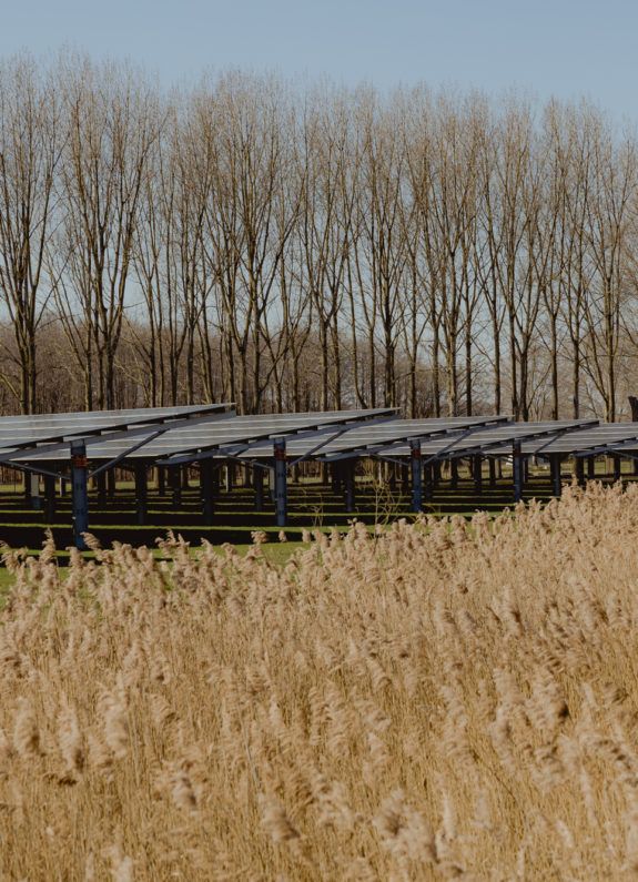 Solar carport biddinghuizen