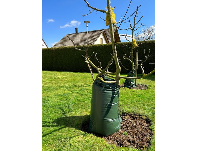 Afbeelding van Boombewateringszak 77 liter Aquadrip