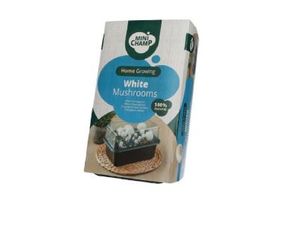 Foto van Witte champignons thuis groei kit