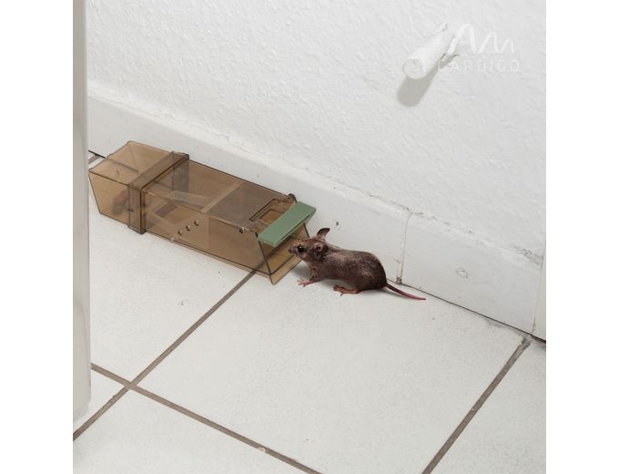 Afbeelding van Gardigo levende muizenval