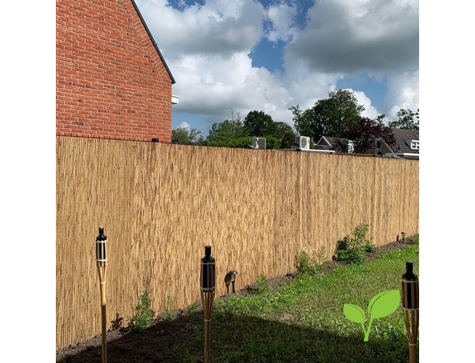 Afbeelding van Rietmat Premium - 180 x 600 cm