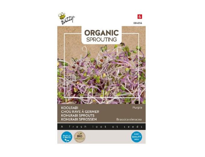 Afbeelding van Buzzy® Organic Spruitgroente Koolrabi blauwpaars (BIO)